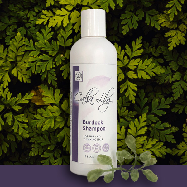 Burdock Shampoo - burdock root thinning hair
