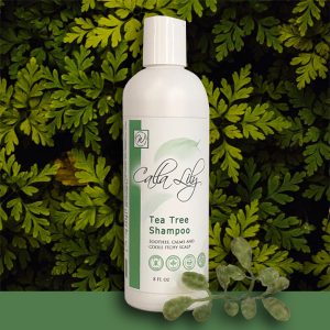 Peppermint Tea Tree shampoo